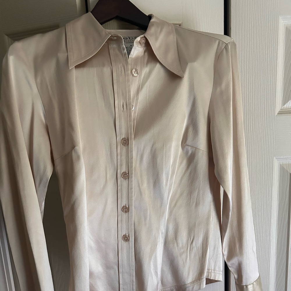 Beautiful Bebe silk blouse
